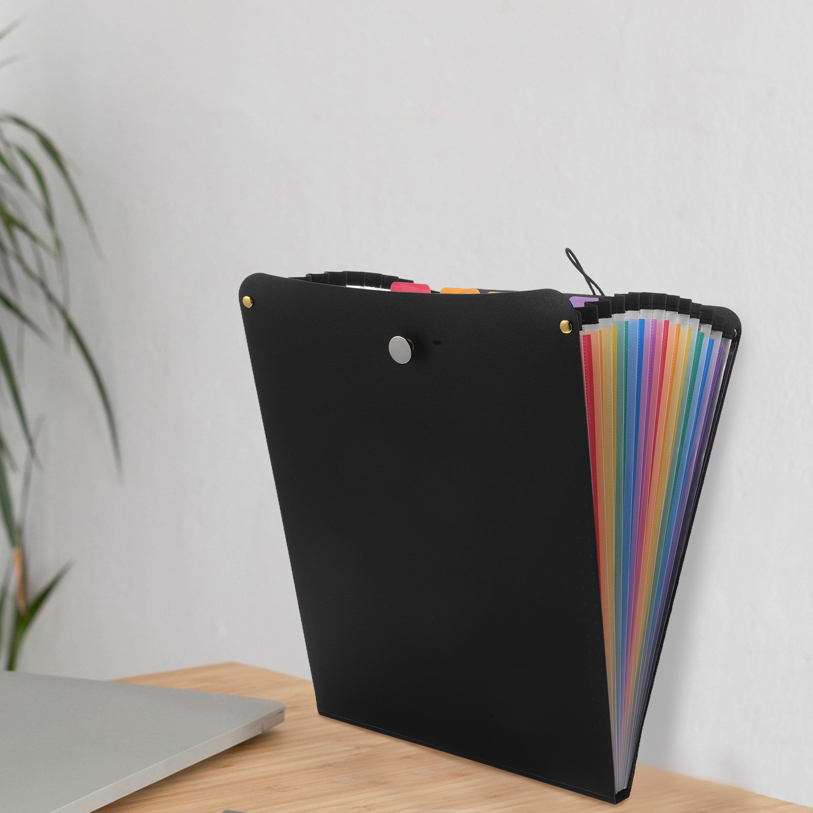A4 Accordion File Organizer 13 - Expandable Accordion File Folder 13 Pockets review and price